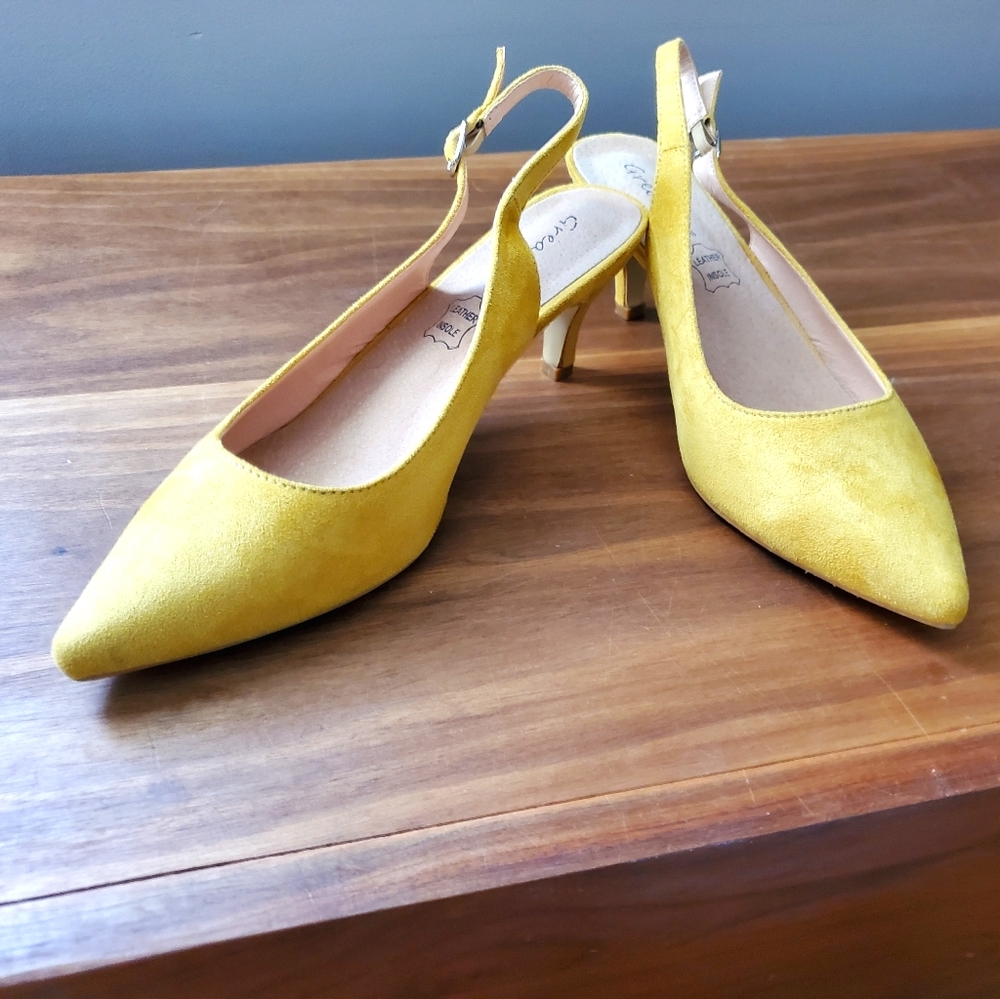 Mustard pumps